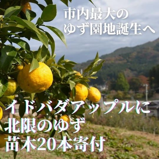 【激しく応援】市内最大の「北限のゆず畑」への挑戦！苗木20本をイドバダアップルにプレゼントできる権
