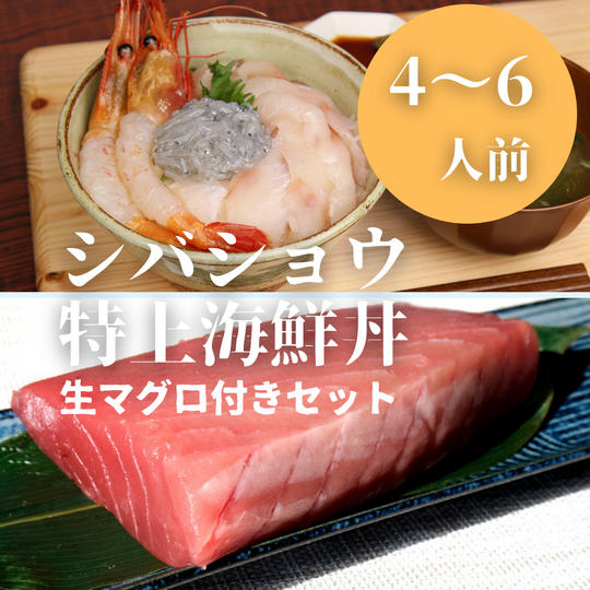 【個数限定追加】シバショウ特上海鮮丼セット(マグロ付き)