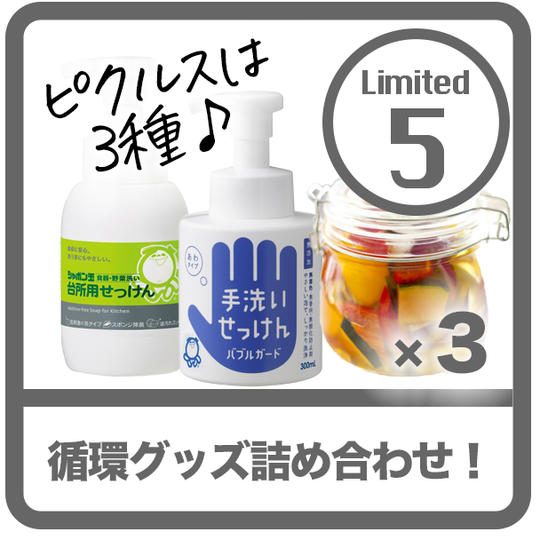 【限定5】循環グッズ詰め合わせ!(野菜を加工したピクルス三種、無添加キッチン・手洗い洗剤)