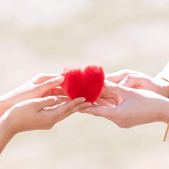 【ご好評につき追加！】子供にケーキをプレゼント権