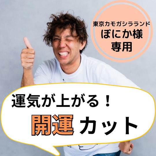 【ぼにか様専用】開運カット!