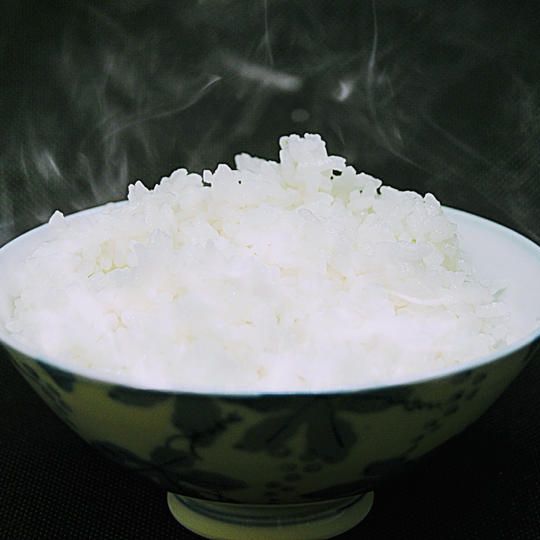 Aプラン「ひとくち農家・ご賞味プラン」　①お米5キロ＋②オンラインイベント参加権＋③ひとくち農家プロジェクト　Ｔシャツ