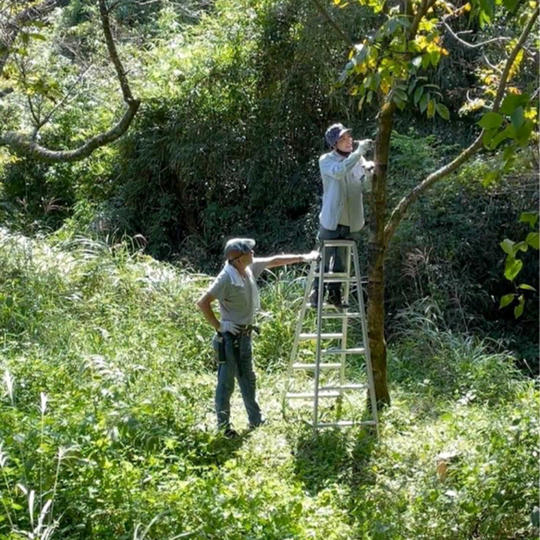「推し」てください。