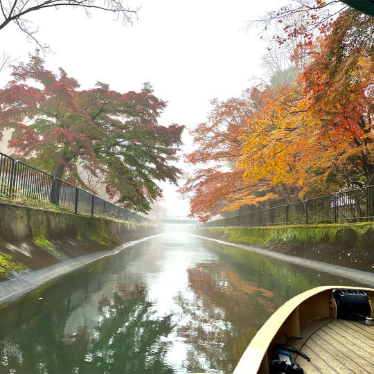 【秋季運航乗船④】10月29日(日)下り便 12名限定