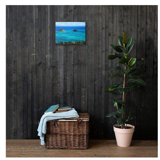 Taka撮影写真パネル【ラニカイ】