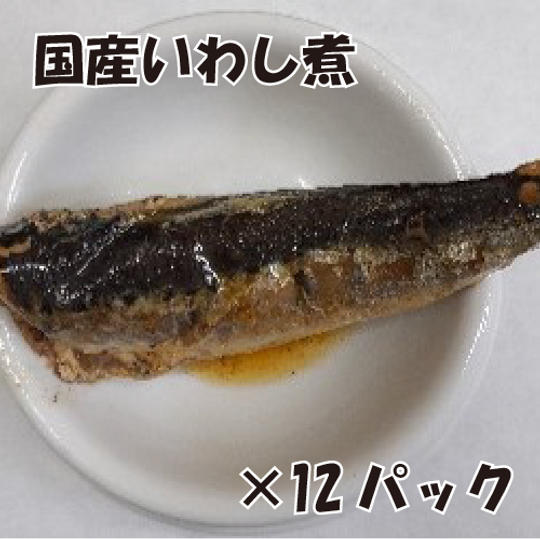 いわし12食セット