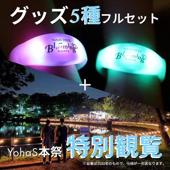 オリジナルグッズ5種フルセット＆特別観覧エリアご招待プラン