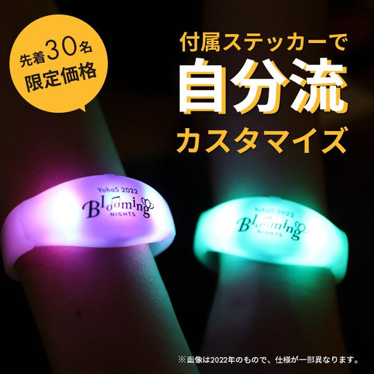 【先着30名限定価格】光るオーロラブレスレットプラン