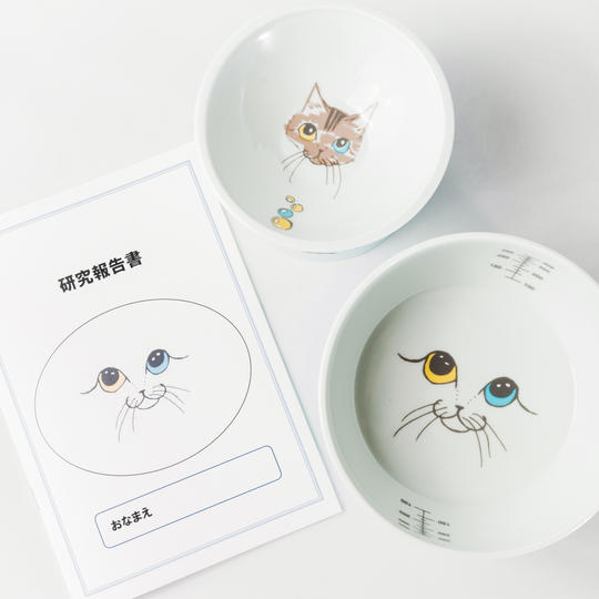 波佐見焼のフードボウル＆ウォーターボウル（ブルー）15%OFFセット