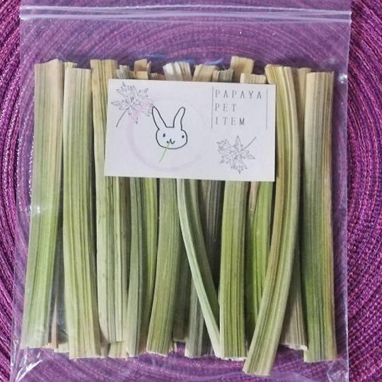 パパイア　ペット　アイテム