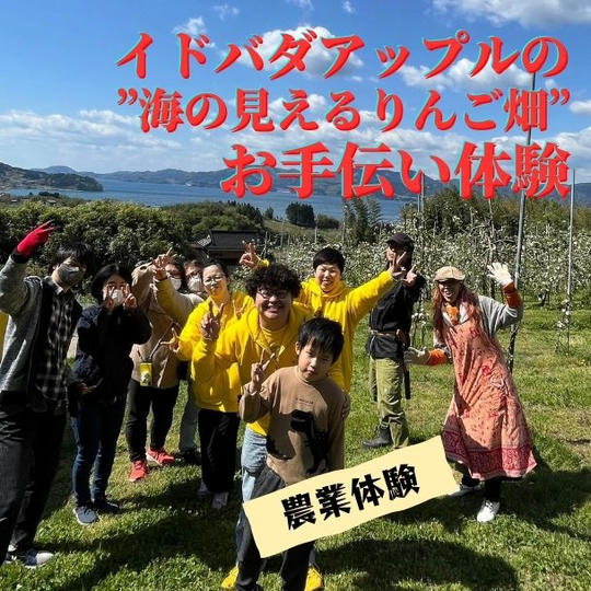 【2023年6月3日（土）】イドバダアップルのりんご畑お手伝い！【農業体験】