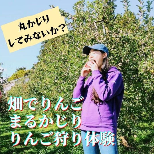 【10月14日（土）】やったことある？りんご畑でまるかじり体験！りんご狩り付き！