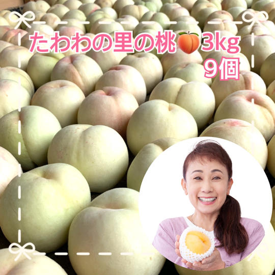 たわわの里の桃3Kg(9個入り)