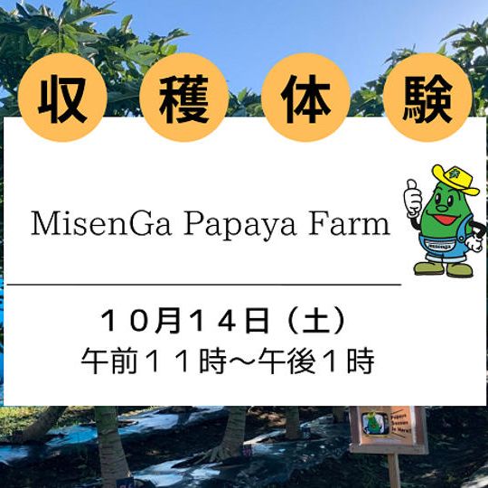 【10/14 (土)】収穫体験 (大人/子供）