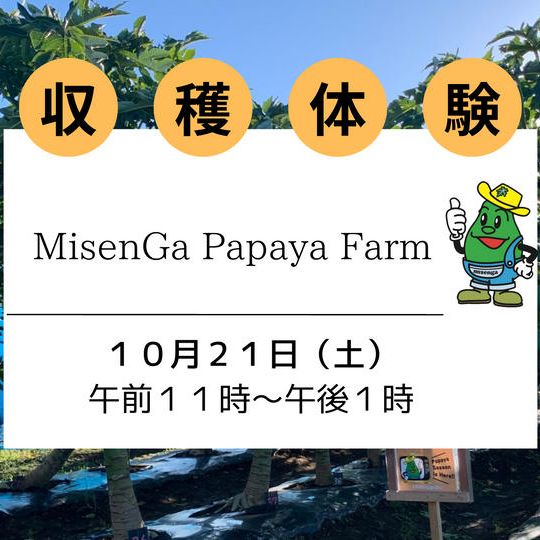 【10/21 (土)】収穫体験（大人/子供）