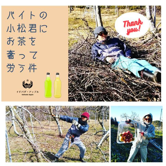 【お代わり！】バイトの小松君にお茶を奢って労う権