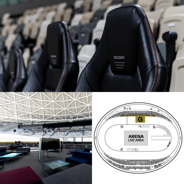 F レギュラーシート（バック側） - (nobodyknows+と虹の