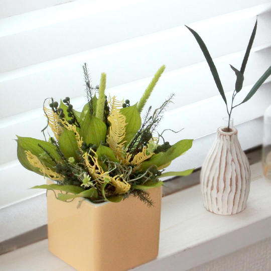 枯れないおうち植物 プリザーブドグリーンB