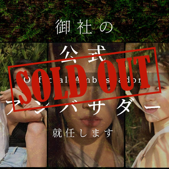 特別スポンサー募集！御社の公式アンバサダー就任します！