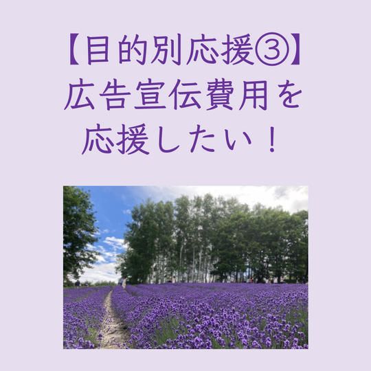 【目的別応援③】広告宣伝費用を応援したい！