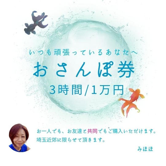 5009 みほほ・お散歩券