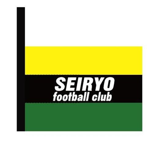 青稜サッカー部オリジナルシューズケース　ゴールキーパーカラーバージョン（グリーン・ブラック・イエロー）