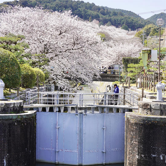 増便【CF限定】琵琶湖への延伸便のモニター先行乗船⑨　9月下旬平日　大津港出発下り便