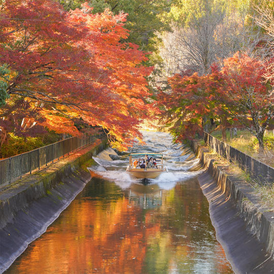 増便【秋季運航乗船⑦】11月23日（水・祝）京都出発上り便