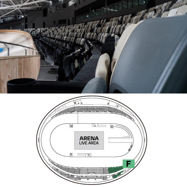 F レギュラーシート（バック側） - (nobodyknows+と虹の