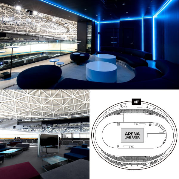 VIP2041＋アリーナ席招待特典付（最大12名様ご利用可・ホーム側