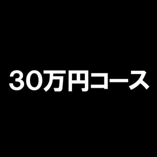 ⑤３０万円コース