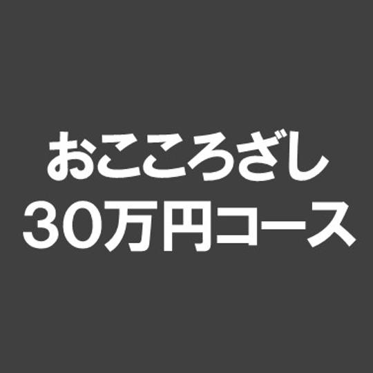 ⑩おこころざし（３０万円）
