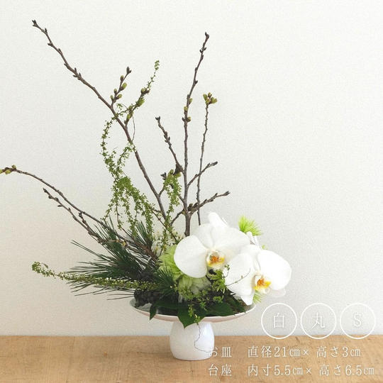 マグネットツーク 白 Sサイズ