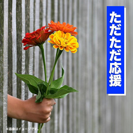 ただただ応援
