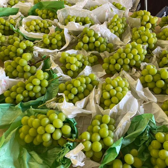 リターン全部込み