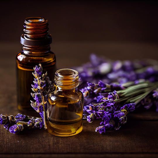 アゼルバイジャン産ラベンダーオイル5mlとウェブストアで使える1000円分クーポンセット