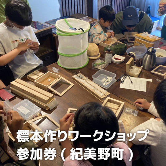 標本作りワークショップ参加券(紀美野町)	