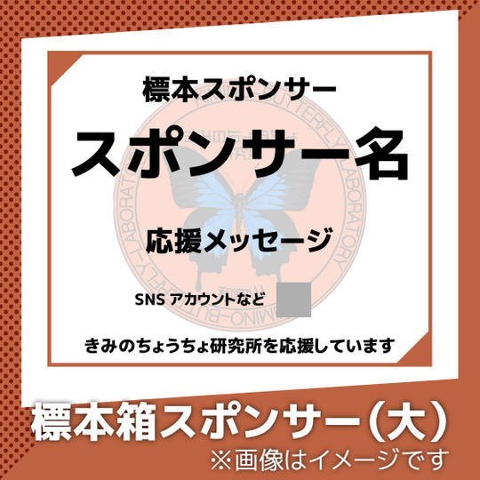 標本箱スポンサー(大)