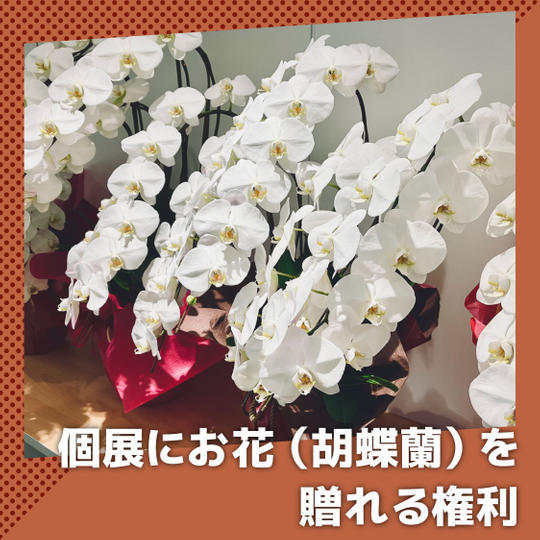 【スポンサー枠】個展会場にお花を飾れる権利(胡蝶蘭)