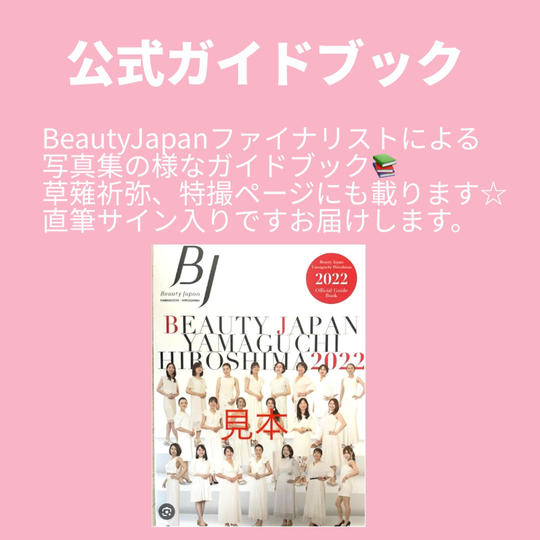 公式ガイドブック