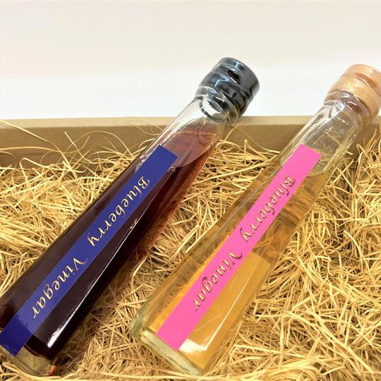 ブルーベリービネガー120ml ２色セット