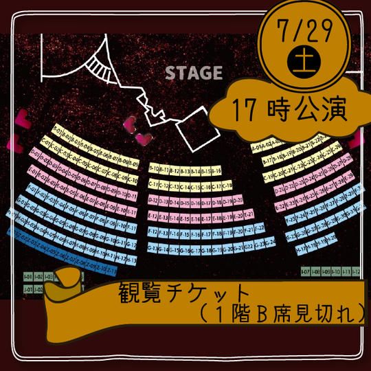 【29日17時公演】観覧チケット(1階B席見切れ)