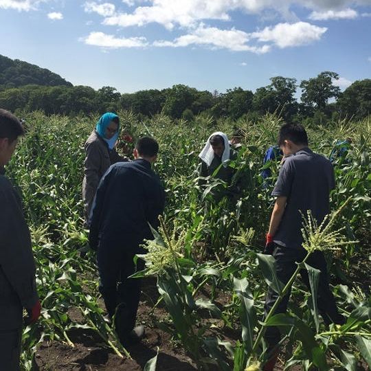 応援30,000円コース