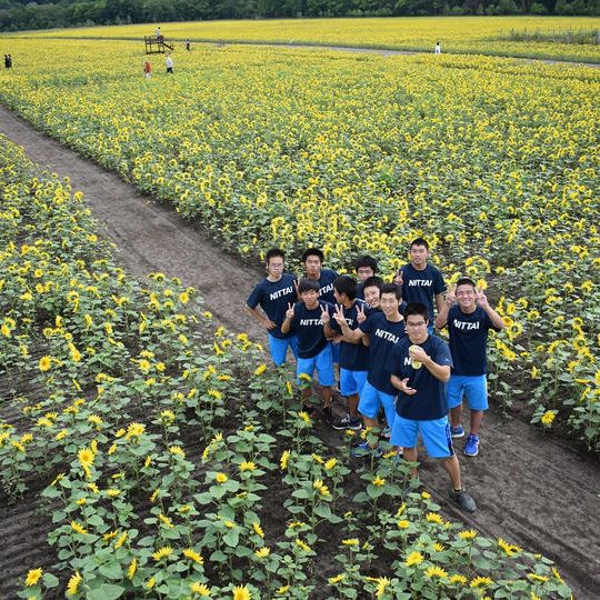 応援50,000円コース