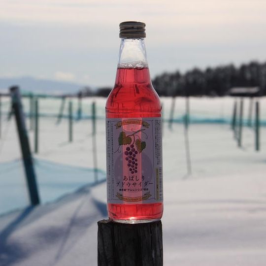 応援500,000円コース