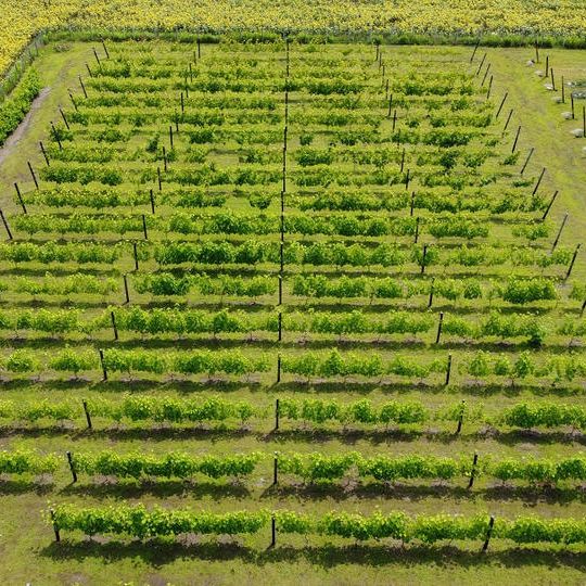 応援1,000,000円コース