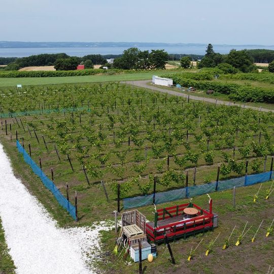 応援10,000,000円コース