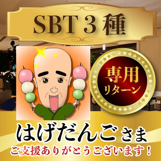 はげだんごさん専用リターン