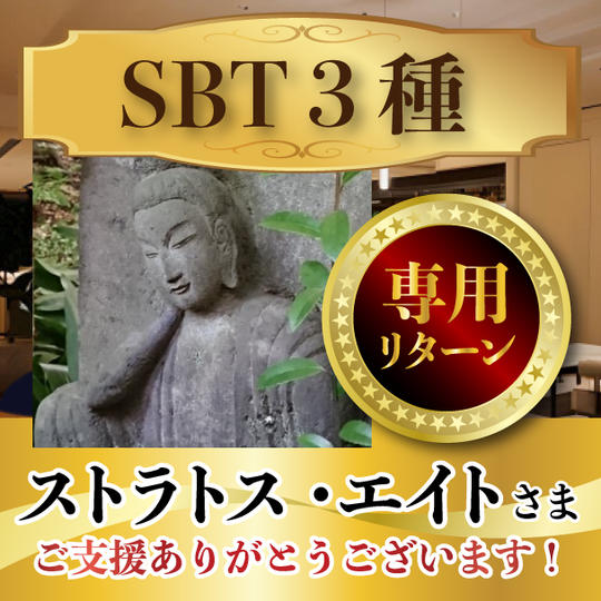 ストラテス・エイトさん専用リターン