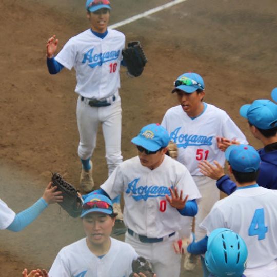 動画・メッセージ